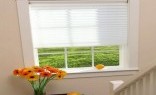 No More Naked Windows Silhouette Shade Blinds